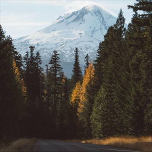 Sabina Cheia - Mai Trece Iarăși Încă-Un An (2023)