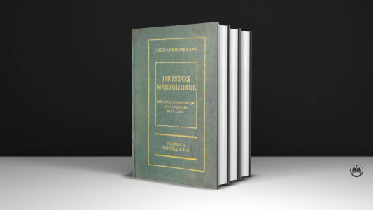 Nicolae Moldoveanu - Meditații la Ev. după Luca