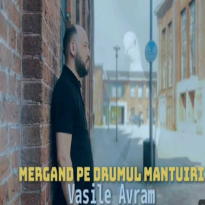 Vasile Avram - Mergand Pe Drumul Mantuiri (2023)