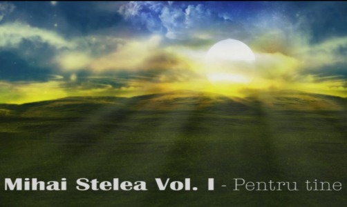 Mihai Stelea - Pentru tine Vol.1