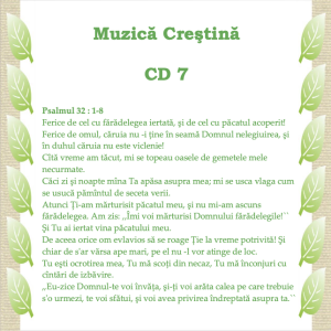 Diversi Artisti - Muzica Veche CD 7