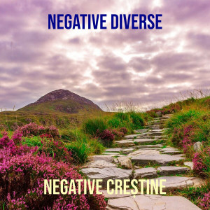 Negative Creștine - Negative Diverse (2024)