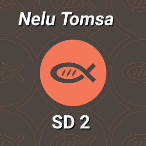 Nelu Tomsa - Mai aproape de Domnul (2012)