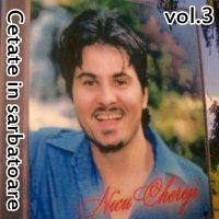 Nicu Chereji - Cetate in sarbatoare Vol.3 (2009)