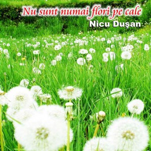 Nicu Dusan - Nu sunt numai flori pe cale