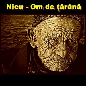 Nicu - Om de tarana
