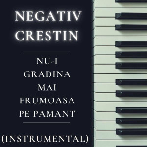 Negativ Crestin - Nu-I Gradina Mai Frumoasa Pe Pamant (Instrumental) (2025)