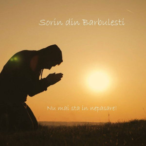 Sorin din Barbulesti - Nu Mai Sta In Nepasare! (2021)