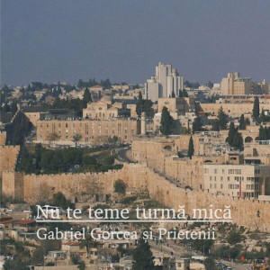 Gabriel Gorcea si Prietenii - Nu Te Teme Turmă Mică (2024)