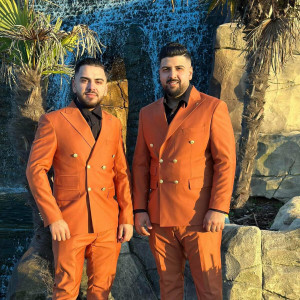 Timotei Bacesti - Numai Harul Tau (2023)