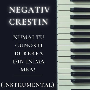 Negativ Crestin - Numai Tu Cunosti Durerea Din Inima Mea! (Instrumental) (2025)