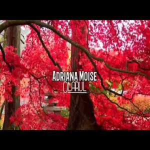 Adriana Moise - Olarul (2024)