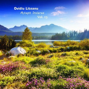 Ovidiu Liteanu - Aștept învierea Vol.13
