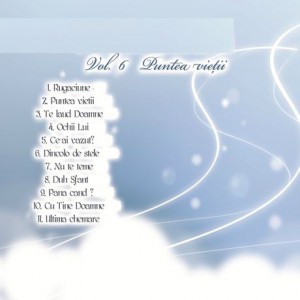 Ovidiu Liteanu - Puntea Vietii Vol.6 2009