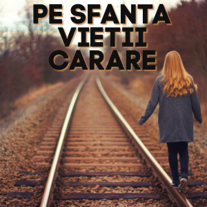 Muzica Crestina Noua - Pe Sfanta Vietii Carare (2024)