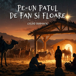 Muzica Crestina Noua - Pe-Un Patul De Fan Si Floare (2024)