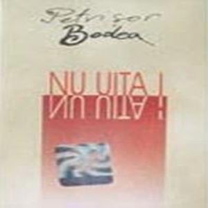 Petrisor Bodea - Nu Uita