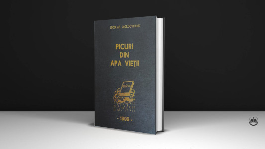 Nicolae Moldoveanu - Picuri din Apa Vieții