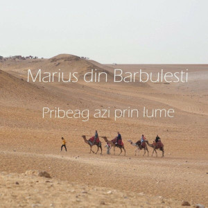 Marius Din Barbulesti - Pribeag Azi Prin Lume (2017)