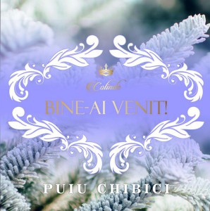 Puiu Chibici - Bine-ai venit (2016)