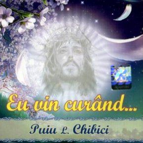 Puiu Chibici - Eu vin curand - Negative