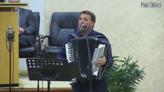 Puiu Chibici - Negative Selectii