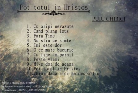 Puiu Chibici - Pot totul în Hristos (2015)