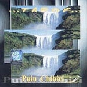 Puiu Chibici - Tabor Negative Vol.4