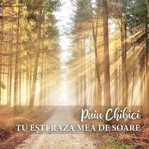 Puiu Chibici - Tu Ești Raza Mea De Soare (2019)