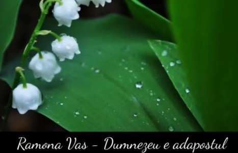 Ramona Vass - Dumnezeu e Adapost Vol.2