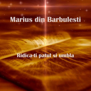 Marius Din Barbulesti - Ridica-Ti Patul Și Umbla (Original) (2012)