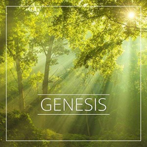 Robert Verdes si Sergiu Verdes - Genesis (2016)