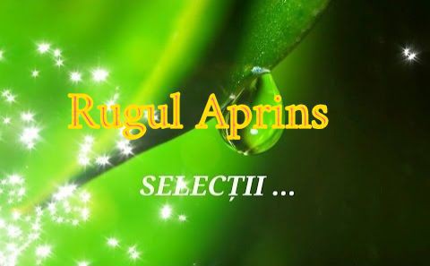 Rugul Aprins - Selectii Negative