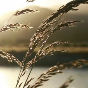 Cosmin Guraliuc - Sanctuary (2023)