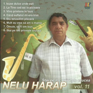 Nelu Harap - Stai Pe Loc Priveste Crucea Vol. 11