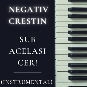 Negativ Crestin - Sub Acelasi Cer! (Instrumental) (2025)