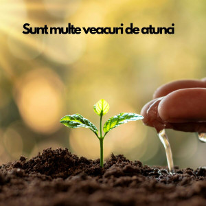 Miriam Sarah Niculcea - Sunt Multe Veacuri De Atunci (2024)