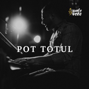 Suntovoce - Pot Totul (2021)