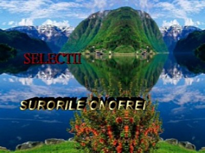 Surorile Onofrei - Selectii Negative