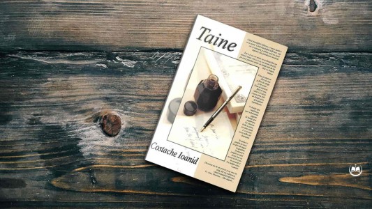 Costache Ioanid - Taine – Costache Ioanid