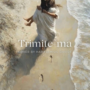 Harasemiuc Davide - Trimite-Ma (2025)