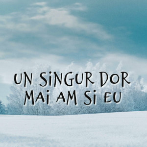 Muzica Crestina Noua - Un Singur Dor Mai Am Si Eu (2024)