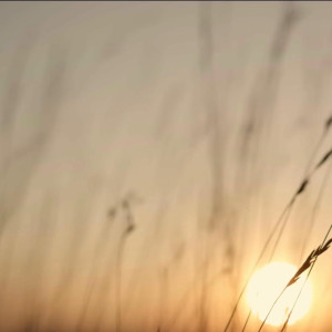 Onisim Grab - Un Strop De Rouă (2026)