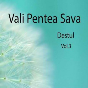 Vali Pentea Sava - Destul Vol.3 (2017)