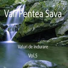 Vali Pentea Sava - Valuri de îndurare Vol.5 (2017)
