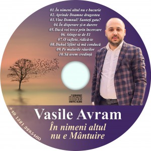Vasile Avram - În Nimeni Altul Nu E Mântuire (2021)