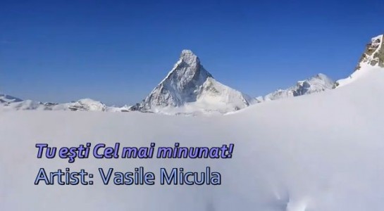 Vasile Micula - Tu esti cel mai minunat Negative Vol.1