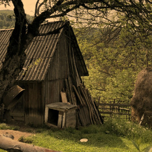 Poliana Raisa - Veșnicia S-A Născut La Sat (2024)