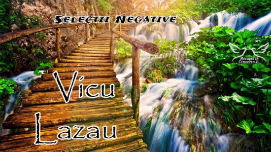 Vicu  Lazau - Selectii Negative