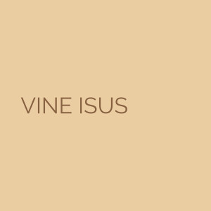 Miriam Sarah Niculcea - Vine Isus (2024)
